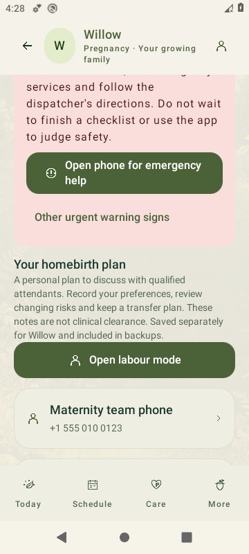 Actual SproutBook 3.6 saved personal homebirth plan with maternity and emergency contacts